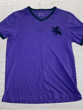 Express Deep Purple V-Neck Short-Sleeve Lion Embroidered Tee in Men’s Size XS